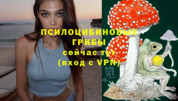 хмурый Алексин