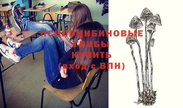 бошки Алзамай