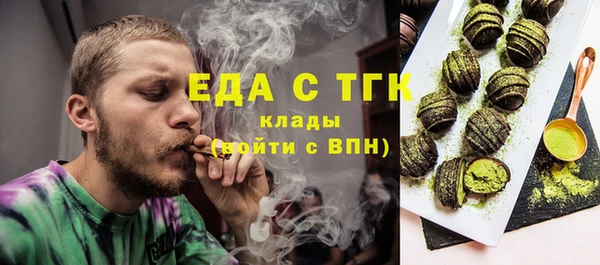 хмурый Алексин