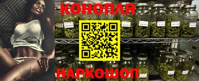 гидропоника Кингисепп