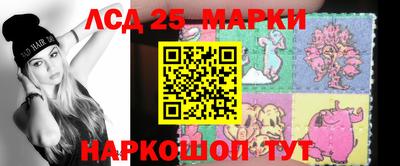гидропоника Кингисепп