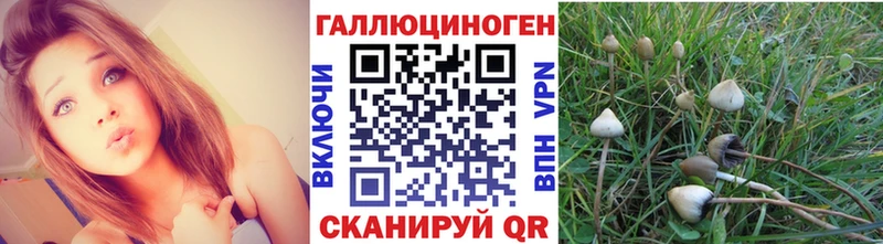 Галлюциногенные грибы Magic Shrooms  Когалым 