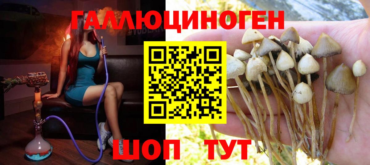 Галлюциногенные грибы ЛСД Когалым